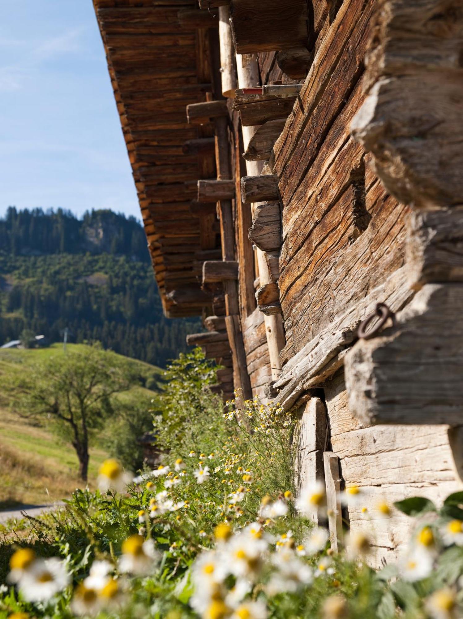 Mgm Hotels & Residences - Residence Le Roc Des Tours Le Grand-Bornand Luaran gambar